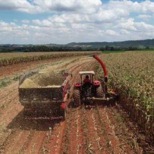 Colhedora de Forragem